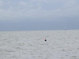 skz_weekend_hoorn_2017_4_20171019_1575365958